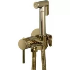 Смеситель с гигиенической лейкой Frap F7505-3 золото