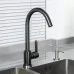 Смеситель для кухни Frud R42052-11 черный