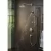 Ручной душ Hansgrohe Raindance Select S 120 3jet PowderRain 26014000 хром