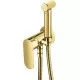 Смеситель с гигиенической лейкой Deante Alpinia Gold BGA Z34M золото
