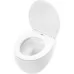 Унитаз Rea LARS C9500 50x37 сиденье Duroplast, микролифт