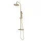 Душевая система Rea Parot gold matt P2323 золотой