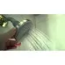 Верхний душ Hansgrohe Croma 27441000