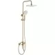 Душевая система Rea ARGUS BRUSHED GOLD P7841 золотой матовый