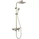 Душевая система Rea Bravo gold matt P4121 золото матовое