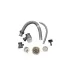 Кухонная мойка Wisent WG37546D Decor Satin