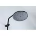 Душевая система Frap F24201-6 черный
