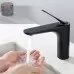 Смеситель для умывальника Raglo R21.10.06 черный матовый