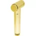 Лейка для биде Deante GOLD BIDETTA XDCA7SFA1 золото
