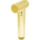 Лейка для биде Deante GOLD BIDETTA XDCA7SFA1 золото