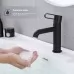 Смеситель для умывальника Splenka S03.10.06 черный