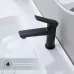 Смеситель для умывальника Splenka S04.10.06 черный