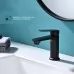 Смеситель для умывальника Splenka S30.10.06 черный
