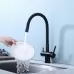 Смеситель для кухни под фильтр Splenka S70.64.06 черный