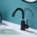 Смеситель для кухни Splenka S201.13.06 черный