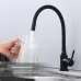Смеситель для кухни Splenka S201.4406.06 черный