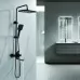 Душевая система Shevanik S6136H черный матовый