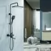 Душевая система Shevanik S6136T оружейная сталь