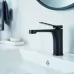 Смеситель для умывальника Shevanik S6201H черный