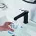 Смеситель для умывальника Shevanik S6201H черный