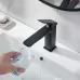 Смеситель для умывальника Shevanik S8901H-1 черный