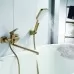 Смеситель для ванны Shevanik S9922G золото