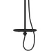 Душевая система Rose R3996H черный