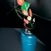 Измельчитель бытовых отходов Paulmark Intenso-800
