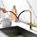 Смеситель для кухни под фильтр Paulmark Serpentine Se213222-G золото