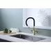 Смеситель для кухни под фильтр Paulmark Salix Sa213419-G золото