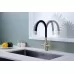 Смеситель для кухни под фильтр Paulmark Salix Sa213419-BR бронза