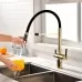 Смеситель для кухни под фильтр Paulmark Gravity Gr213188-G золото