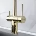 Смеситель для кухни под фильтр Paulmark Gravity Gr213188-G золото