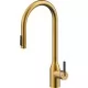 Смеситель для кухни под фильтр Paulmark Universal Un213880-BG брашированное золото