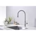 Смеситель для кухни под фильтр Paulmark Galant Ga213077-BS брашированная сталь