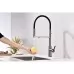 Смеситель для кухни под фильтр Paulmark Tornado To213402-GB черный глянцевый