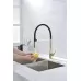 Смеситель для кухни Paulmark Halt Ha214021-G золото