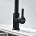 Смеситель для кухни Paulmark Halt Ha214021-401 гранит