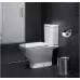 Унитаз Roca The Gap 342477000 + 34147000Y + 801472001 сиденье Duroplast, SoftClose