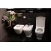 Унитаз Roca The Gap 342477000 + 34147000Y + 801472001 сиденье Duroplast, SoftClose