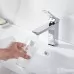 Смеситель для умывальника Shevanik S4401 хром