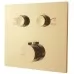 Душевая система Vincea VSFW-4211RBG золотой матовый