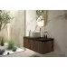 Зеркало Deante SILIA ADI R851 50x100 брашированное золото