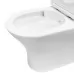 Унитаз Roxen Urban Tornado Bidet 600190-01X белый SoftClose (напольный)
