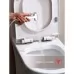 Смеситель с гигиенической лейкой Raglo R51.52 хром