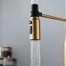 Смеситель для кухни Shevanik S123G-1 золотой сатин