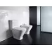 Унитаз Roca The Gap 342477000 36,5x65 сиденье Duroplast, микролифт (напольный)