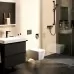 Душевая лейка Hansgrohe Pulsify 3jet Relax ESm 24111670 черный матовый