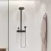 Душевая система Hansgrohe Pulsify SHP 260 2jet ESm 24241670 матовый черный