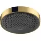 Верхний душ Hansgrohe Rainfinity 250 1jet 26228990 золото